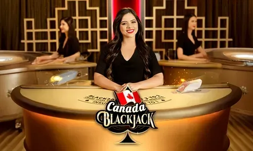 Live Casino Experience